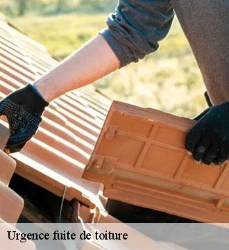 Urgence fuite de toiture