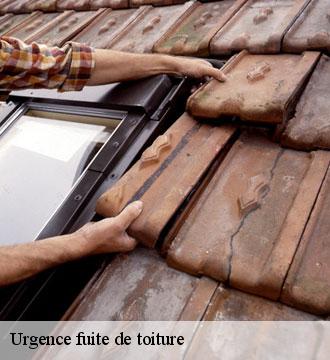 Urgence fuite de toiture