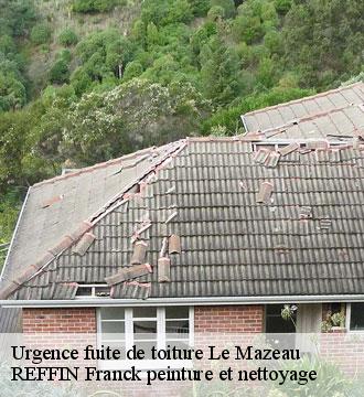 Urgence fuite de toiture