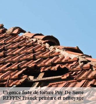 Urgence fuite de toiture