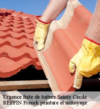 Urgence fuite de toiture