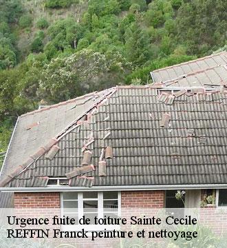 Urgence fuite de toiture