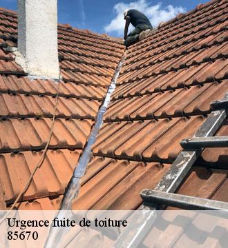 Urgence fuite de toiture