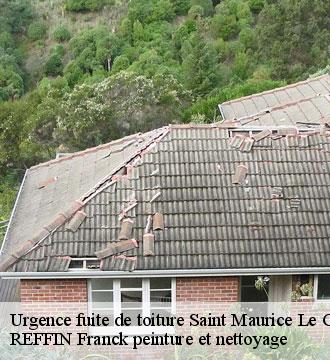 Urgence fuite de toiture