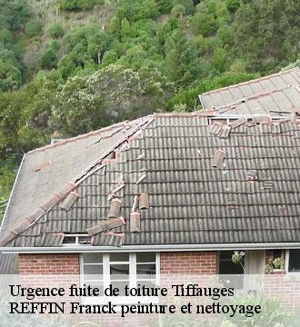 Urgence fuite de toiture
