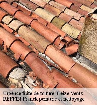 Urgence fuite de toiture