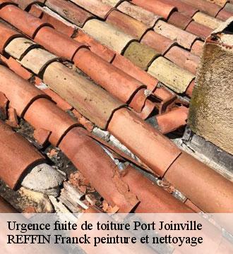 Urgence fuite de toiture
