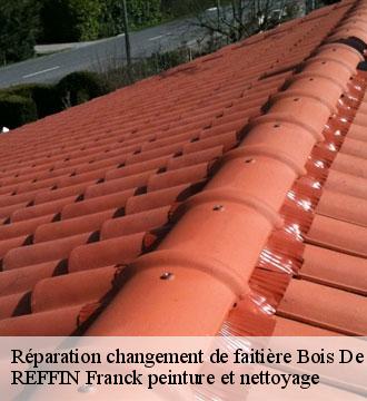 Réparation changement de faitière