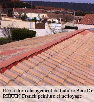 Réparation changement de faitière
