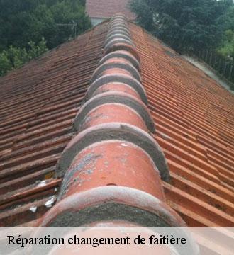 Réparation changement de faitière