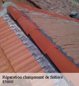 Réparation changement de faitière