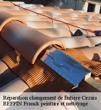 Réparation changement de faitière