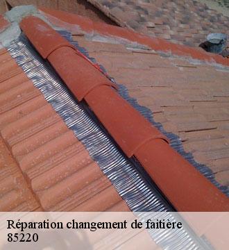 Réparation changement de faitière