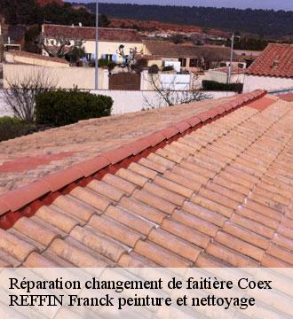 Réparation changement de faitière