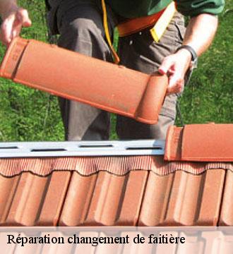 Réparation changement de faitière