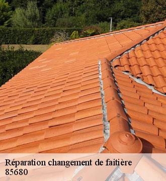 Réparation changement de faitière