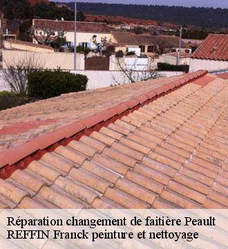 Réparation changement de faitière