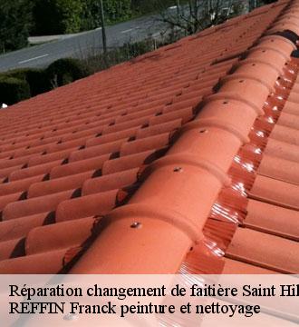 Réparation changement de faitière