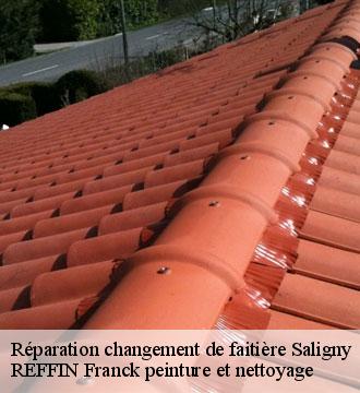 Réparation changement de faitière
