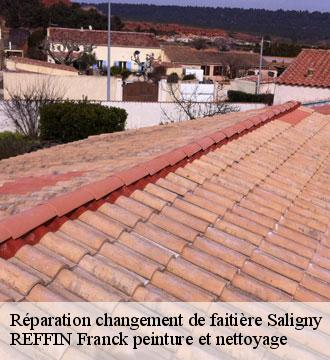 Réparation changement de faitière