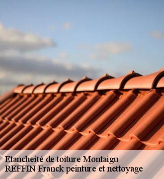 Etancheité de toiture