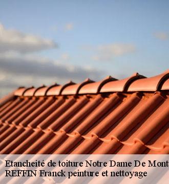 Etancheité de toiture
