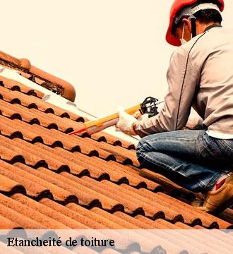 Etancheité de toiture
