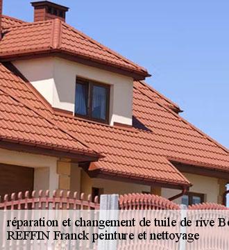 réparation et changement de tuile de rive
