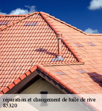 réparation et changement de tuile de rive