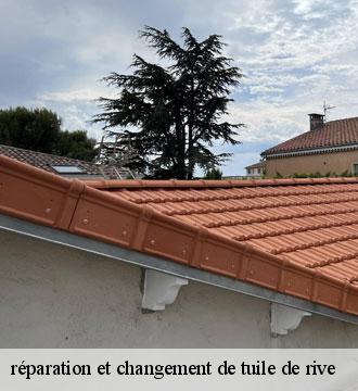 réparation et changement de tuile de rive