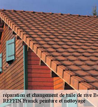 réparation et changement de tuile de rive