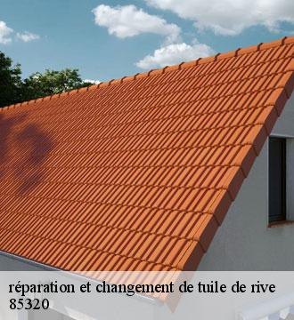 réparation et changement de tuile de rive
