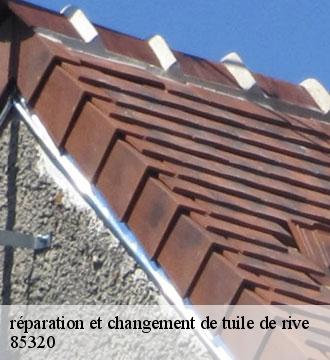 réparation et changement de tuile de rive