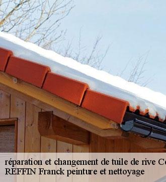 réparation et changement de tuile de rive