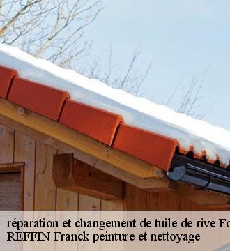 réparation et changement de tuile de rive