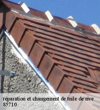 réparation et changement de tuile de rive
