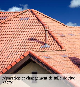 réparation et changement de tuile de rive