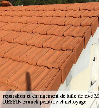 réparation et changement de tuile de rive