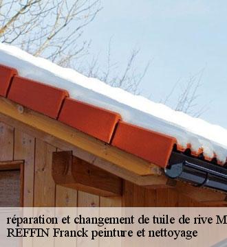 réparation et changement de tuile de rive