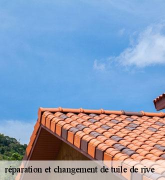 réparation et changement de tuile de rive