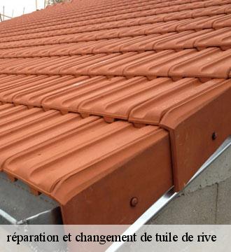 réparation et changement de tuile de rive